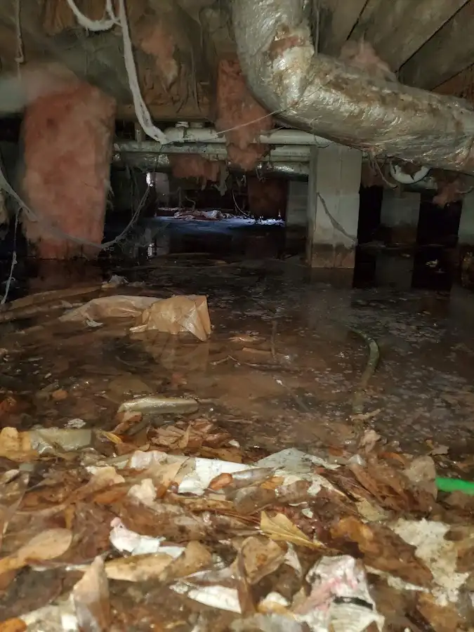 Crawl space flood assessment for Leak Detection & Repair in Lucerne Valley